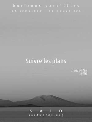 cover image of Suivre les plans